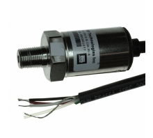 P51-100-G-B-I36-5V-000-000-afbeelding