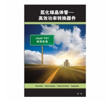 GAN FET BOOK SIMPLIFIED CHINESE VERSION-afbeelding