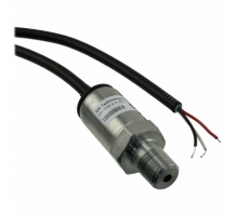 P51-1000-S-A-I36-4.5V-000-000-afbeelding