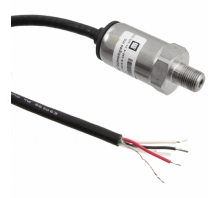 P51-300-G-B-I36-4.5V-000-000-afbeelding