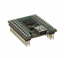 FT2232H MINI MODULE-afbeelding